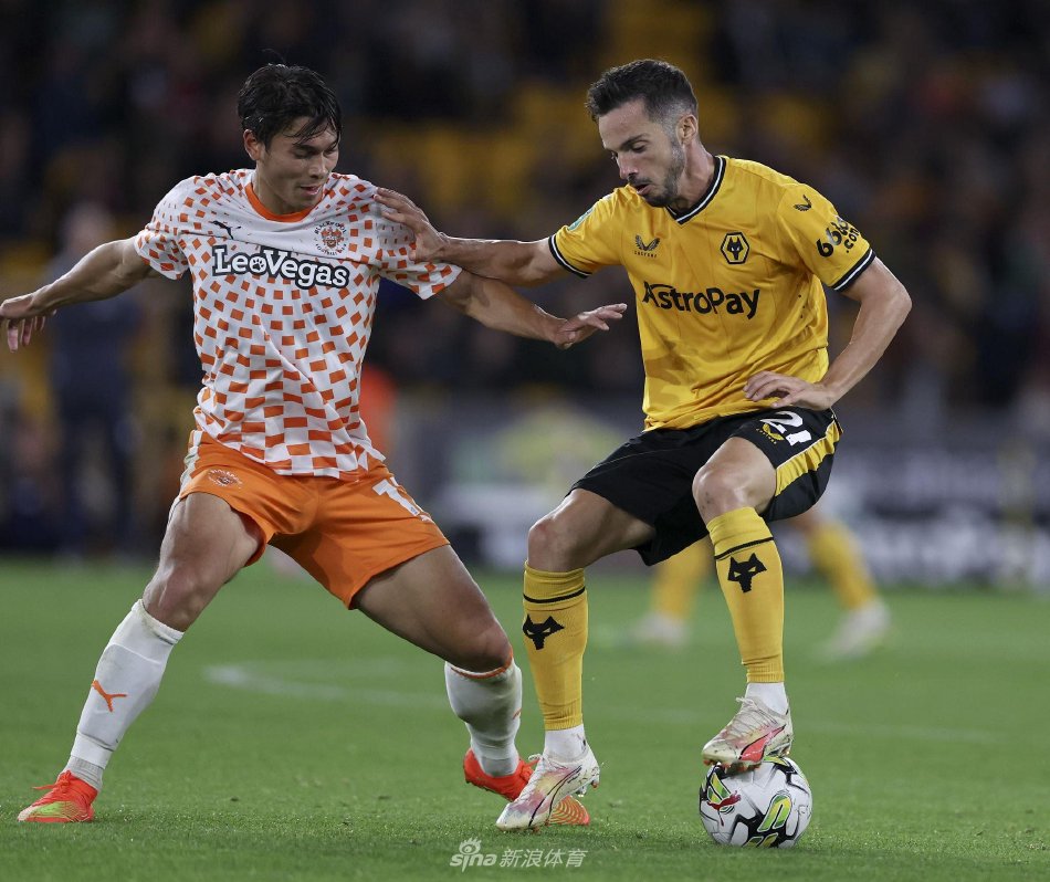 仅体现了紫 仅体现了紫